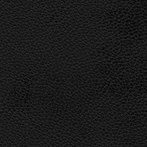 008 C